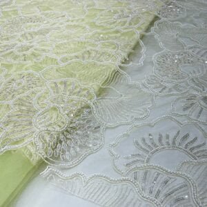 Elegant Hand Beads and Sequin Embroidery on Net Fabric