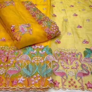 Elegant Daman on Organza Big Width Fabric with Organza Dupatta